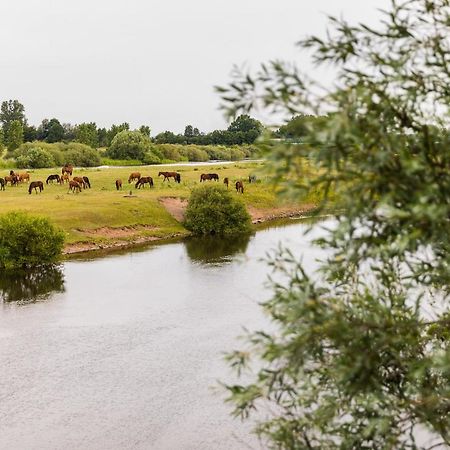 Thoeles*** Am Allerpark Verden Verden an der Aller Ngoại thất bức ảnh